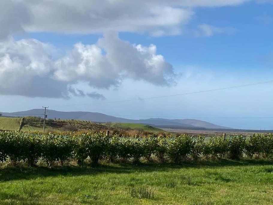 Country Cabin Mullagh  Exterior photo